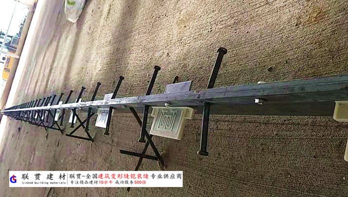 南充市铠甲缝施工案例